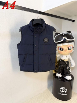 2025 カナダグース ユニーク ダウンプレミアムダウンジャケット カラバリ