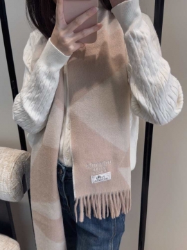 2025FW エルメス ショール ネット限定 男女兼用 